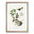 Oak Framed selected