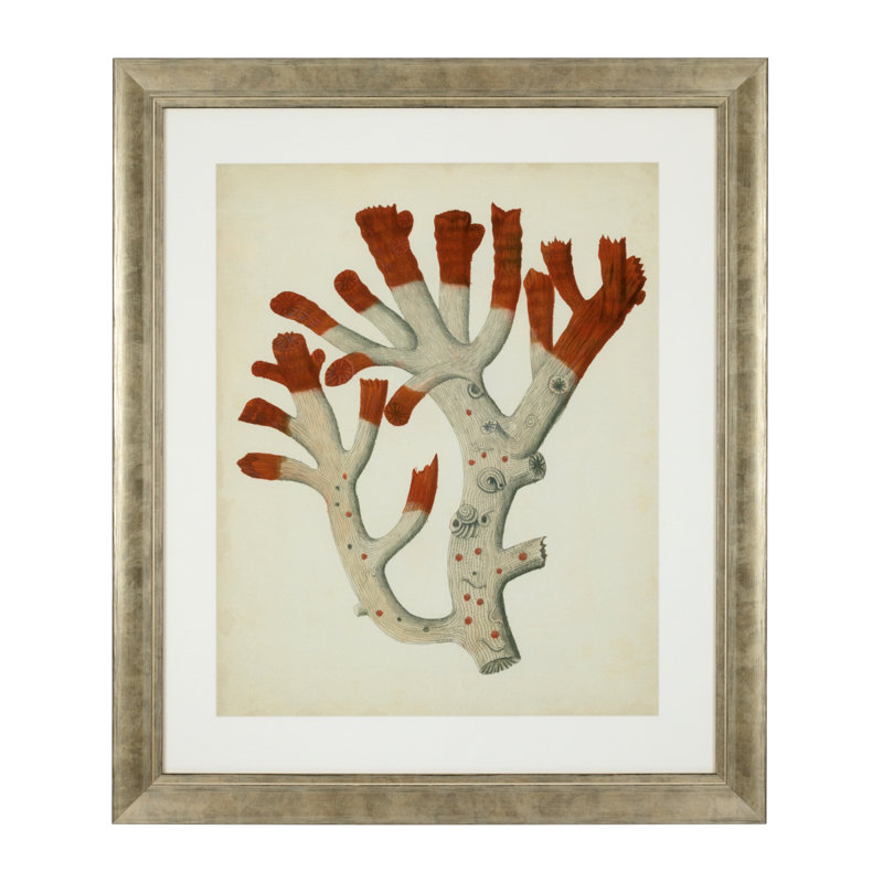 Antique Corals Print