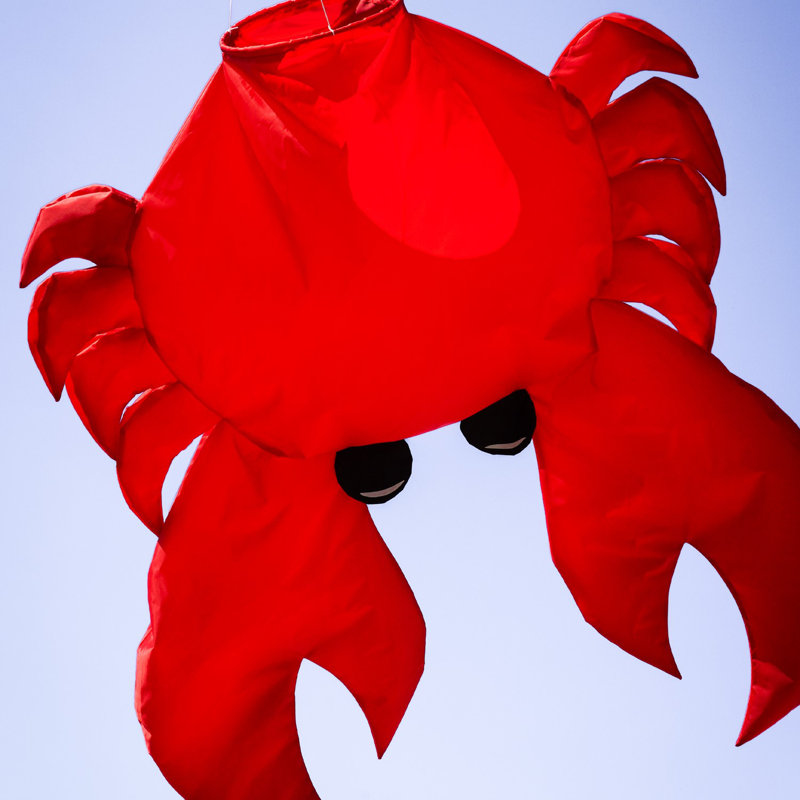 Crab Big Breeze Windsock