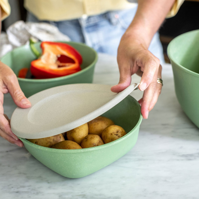 Food Storage Container
