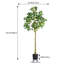 158cm Faux Bonsai Tree in Pot