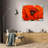 Red Poppy-125602505