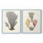 Knorr Shells & Coral III - reproduction encadrée de qualité supérieure - prête à être accrochée - aucun clou requis - aucun clou requis-749233987-749233984