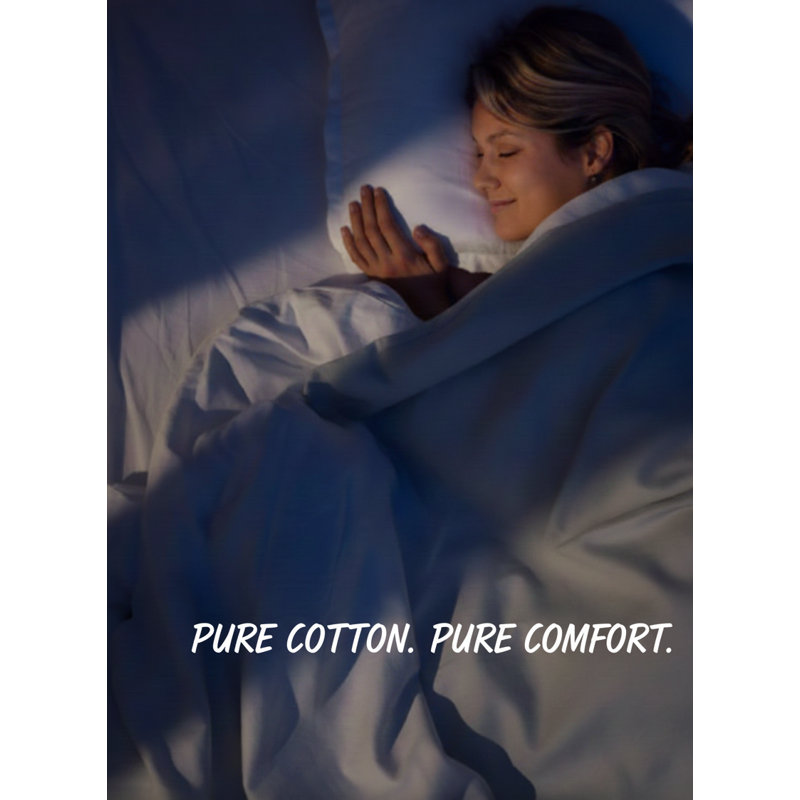 Rug Branch California Cotton Club 2 PC Queen Pillowcases – 600 Thread Count, 100% Long-Staple Cotton, Soft Sateen Weave, Breathable, Durable, Machine Washable – Charcoal
