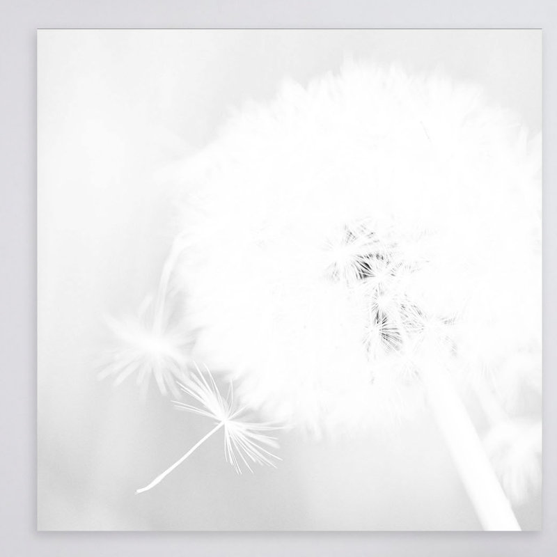 Float Free - Wrapped Canvas Print, 122cm H x 122cm W x 3.8cm D