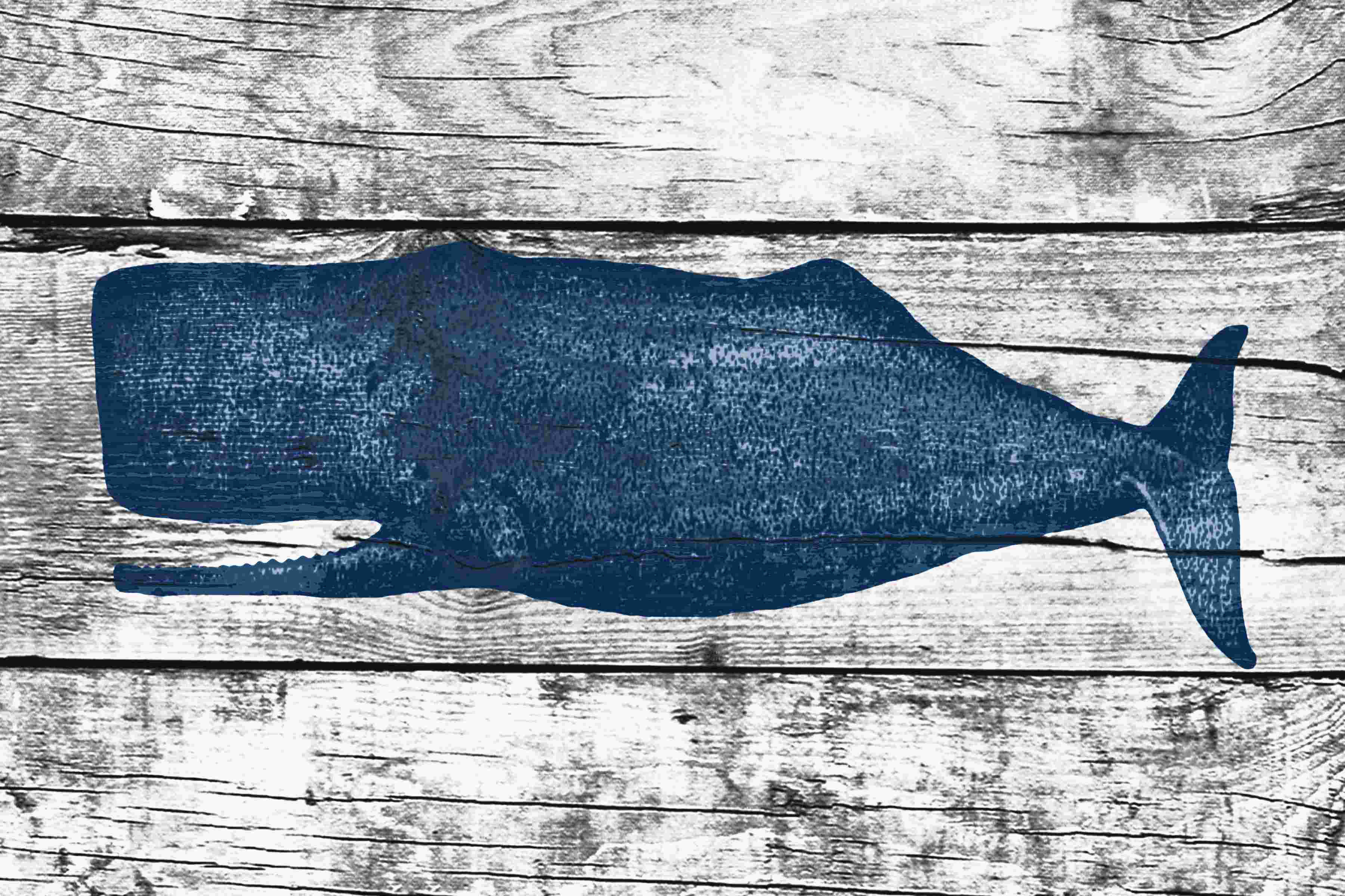 Highland Dunes Distressed Whale White 3 Painting Print Wayfair