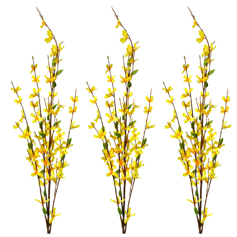 Forsythia 35 po x4
