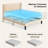 Bettyjean Upholstered Wingback Platform Bed with Padded Headboard and Underbed Storage-255304035-255304044