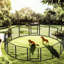 Parc pour chien 16 panneaux d'extérieur en métal - H 31,7 po pour animaux avec rouille - Matériau et panneaux de clôture de construction stable