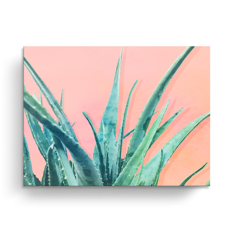 « aloe need », impression sur toile succulent, H 12 po x l 16 po x P 1,5 po, Toile tendue