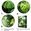 Décoration murale floral et botanique Ferms Natures Symphony-1486204518-1486204519