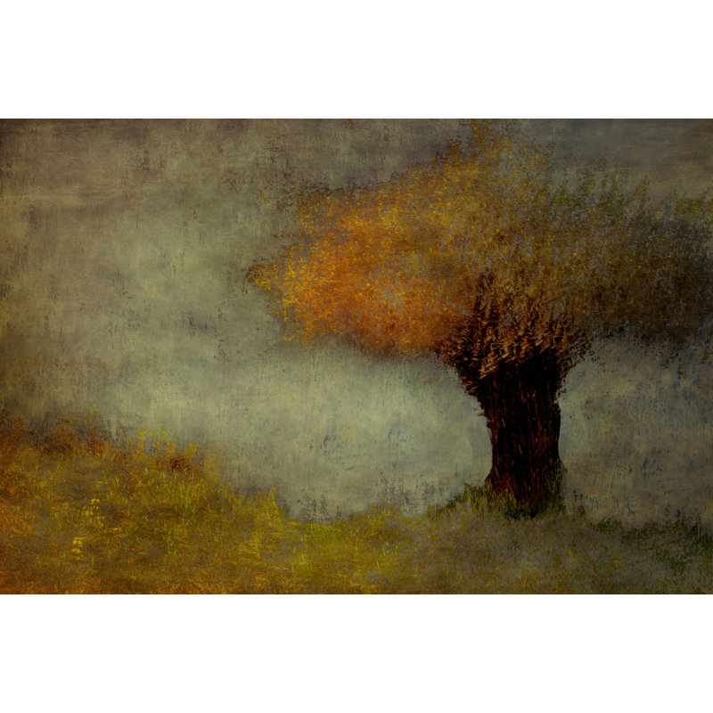 Wrapped Canvas Print, 50.8 cm H x 76.2 cm W