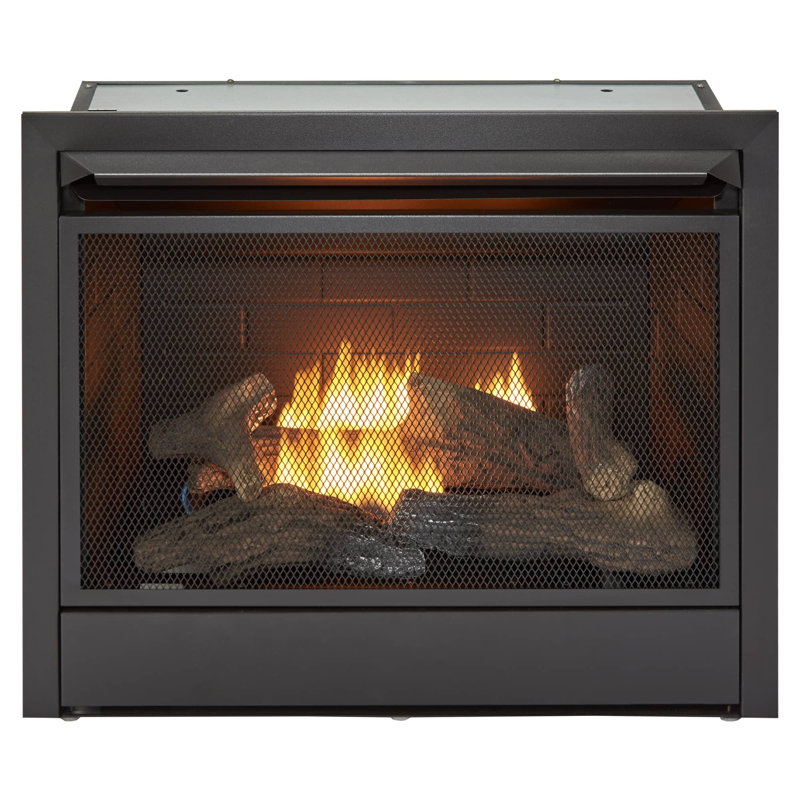 Corby 29.1'' W Ventless Fireplace Insert