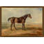 Knight Print by Lillian August