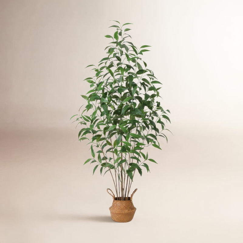 Eucalyptus artificiel Adcock dans un panier, 1, H 70 po x l 23 po x P 23 po