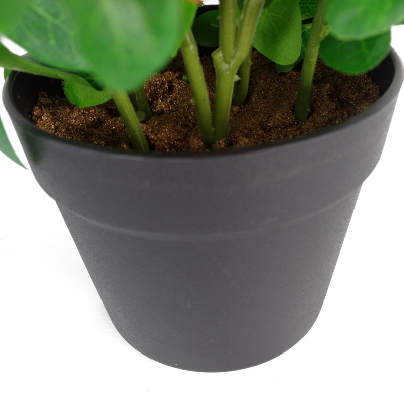 Ansa 50cm Faux Tree in Pot