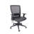 Mia Mesh Back Ergonomic Office Chair with Adjustable Arms & Lumbar, Seat Slide, and Tilt Control, Black Vinyl Seat-1059459287-1059458476