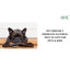 Paillasson Nedlands Natural Poirley Border-1141869985