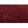 Powder Hand Woven Red Indoor Rug