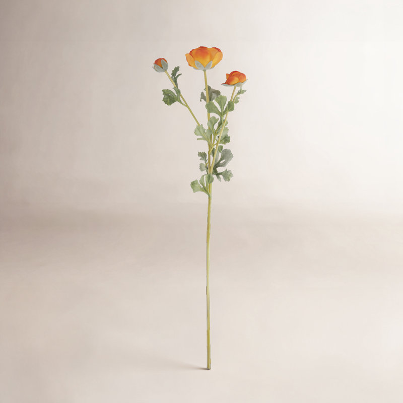 Renoncule florale (ensemble de 12), Orange