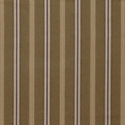 Spencer Canfield Stripe Fabric