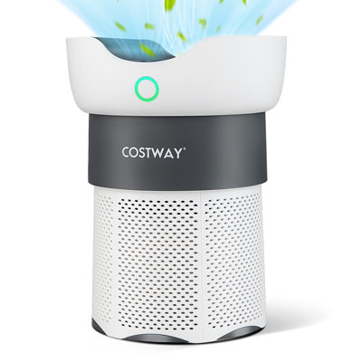 Air Purifier for Home Office with HEPA Filter