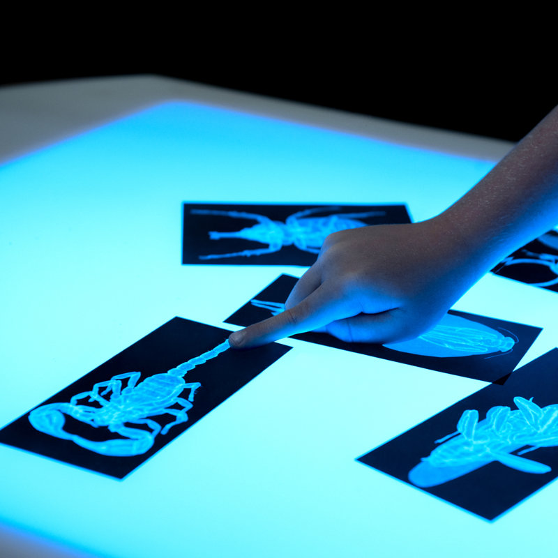 Table d'activités pour enfants Ebenezer, H 18 po x l 30 po x P 22,5 po