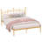 Jayci Metal Open-Frame Bed-1176038170