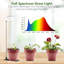 Naomi Grow Light