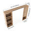 Bathroom Mirror Cabinet with Storage Combination
