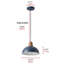 Luminaire suspendu conique à 1 lumière Bernyce-1356188220-1356188218