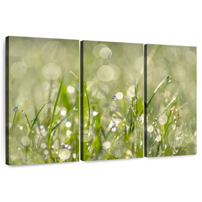 Harnek Raindrops On Grass Abstract