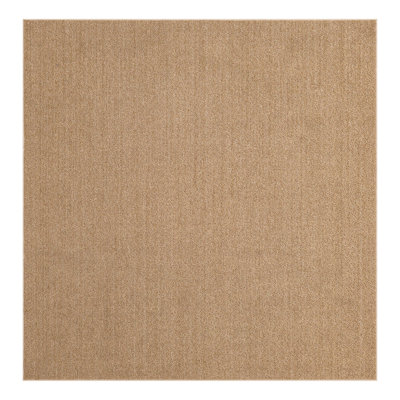 Chesire Indoor/Outdoor Area Rug