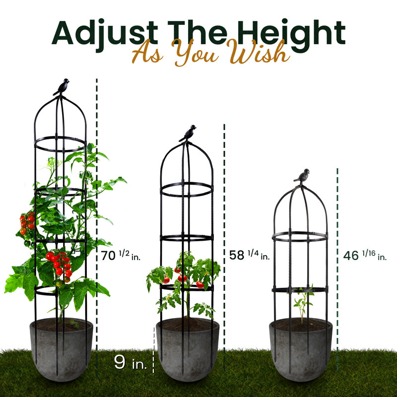 Lylo 70" H x 13" W Obelisk Trellis Plastic with Metal Pipe Core