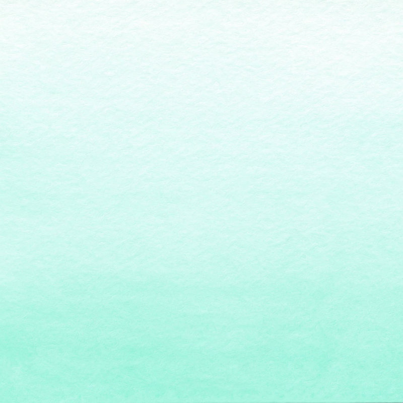 Ombre de menthe social, L 20 po x H 20 po
