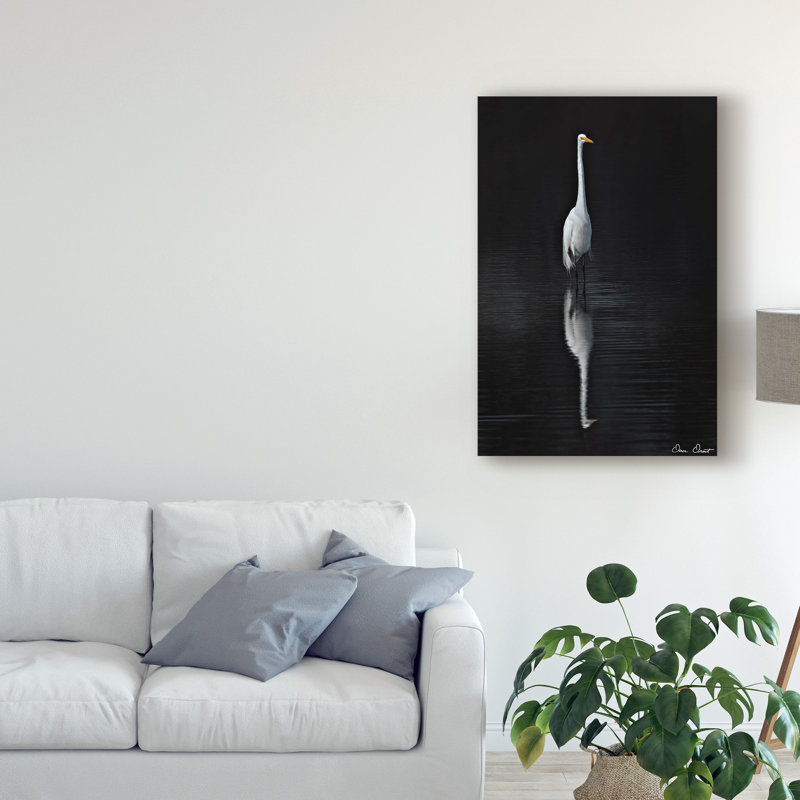 « élégant aigrettes i », reproduction de photo sur toile tendue, H 19 po x l 12 po x P 2 po