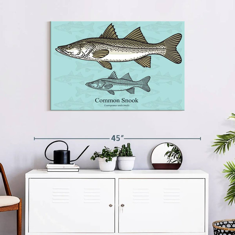 Brampt Common Snook, 24" H x 36" W