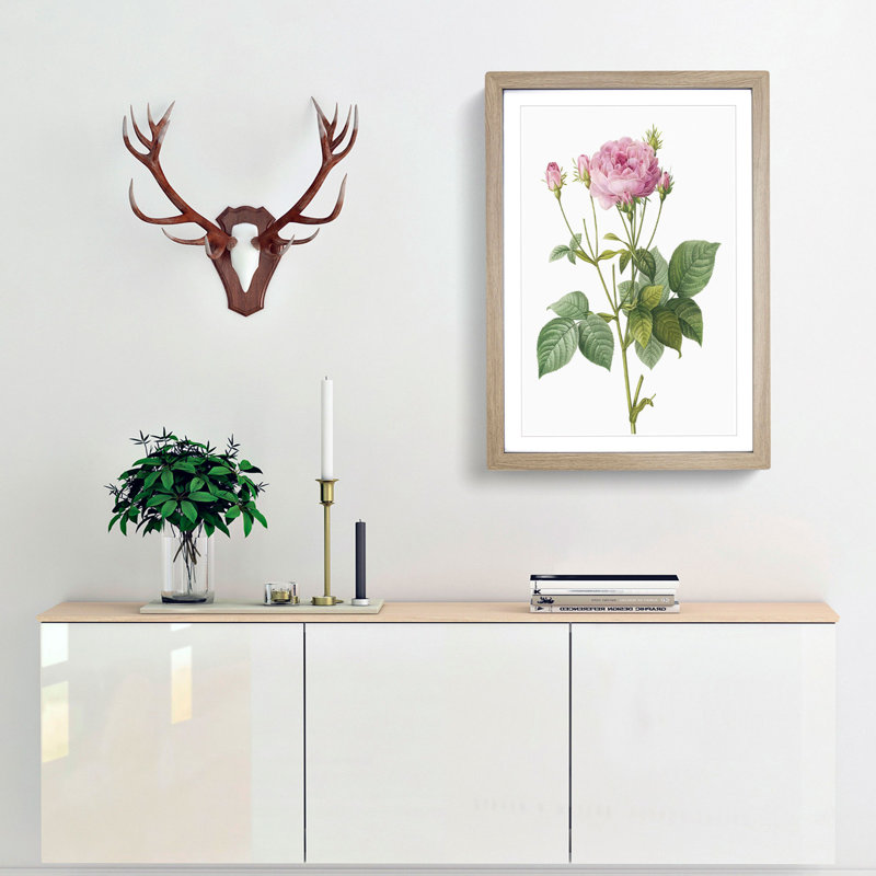 Pretty Pink French Roses by Pierre-Joseph Redoute - Picture Frame Painting Print, 36cm H x 27cm W x 2cm D, Oak Framed