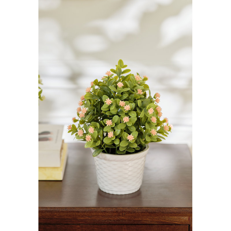 Baby's Breath In Pot, 2, Yellow/Pink