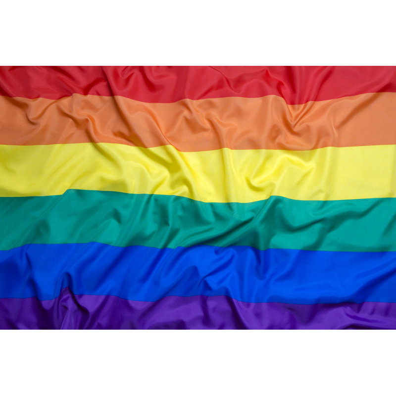 Drapeau arc-en-ciel d'Elexi pour toile de fond, H 20 po x l 30 po x P 1,25 po