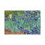 Irises, 1889 by Vincent Van Gogh - Painting on Canvas-89233288-56676294
