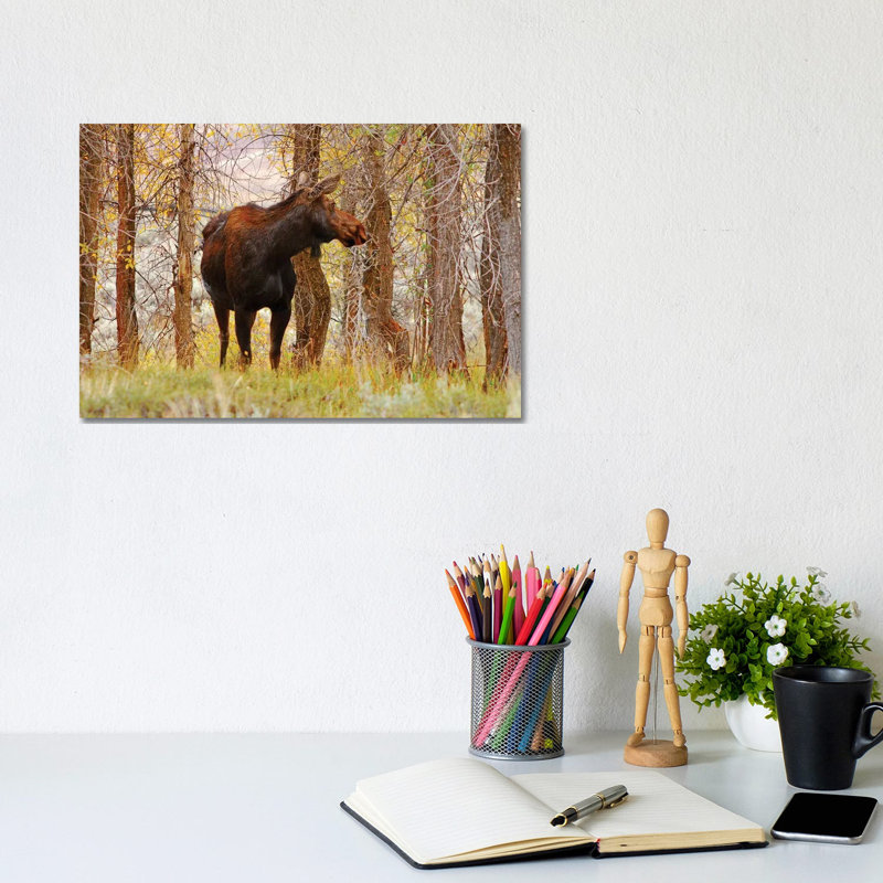 Cow Moose by Brian Wolf - Wrapped Canvas Print, 20.32cm H x 30.48cm W x 1.91cm D