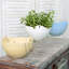Self-Watering Hanging Planter