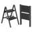 2-Step Steel Folding Step Stool Ladder