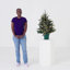 The Holiday Aisle® 3ft. Everyday Collection Potted Evergreen Tree with Clear Lights