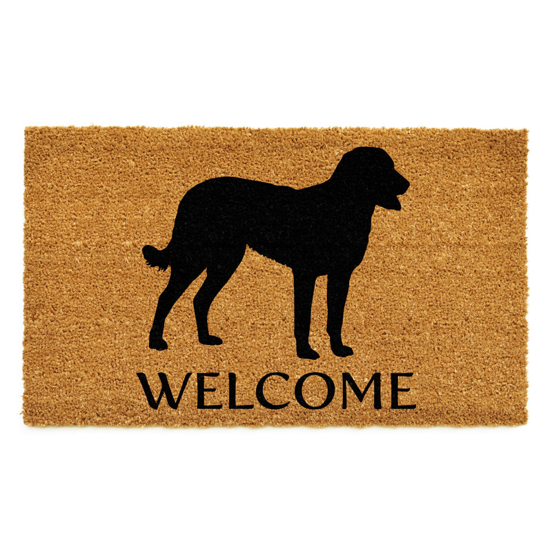 Tapis d'entrée antidérapant Retriever Chesapeake Bay, l 24 po x L 36 po