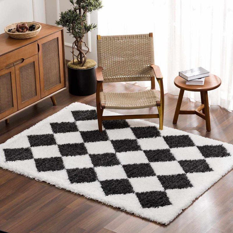 Tapis noir et blanc Axlan, Rectangle 5 pi 3 po x 7 pi 3 po
