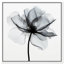 Art floral Midania III par Blue 