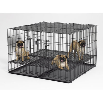 Steel Pet Crate