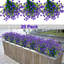 Jasmine Arrangement-592964109